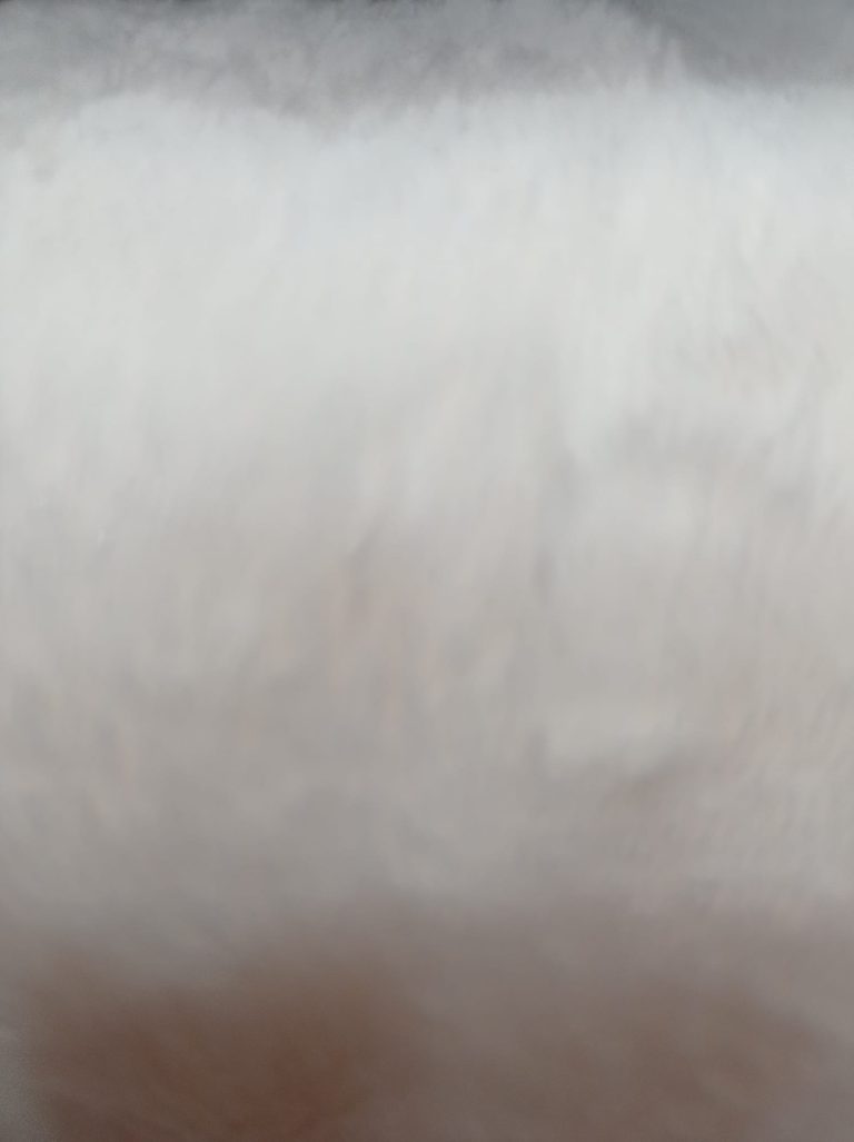 mayorista y distribuidor tejido coralina-2