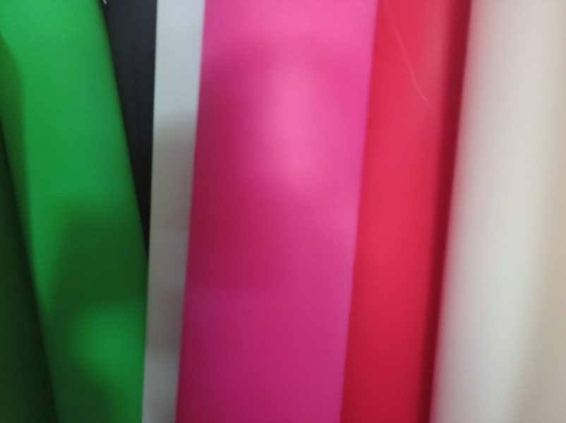 Mayorista y Distribuidor Can Can